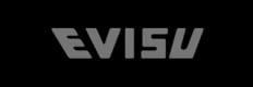 Evisu logo