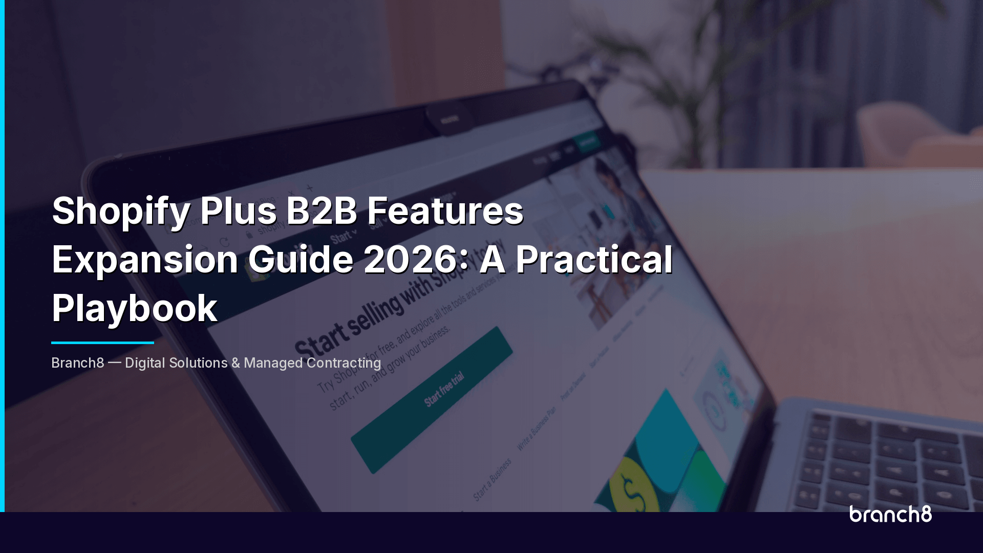 Shopify Plus B2B Features Expansion Guide 2026: A Practical Playbook - Hero Image